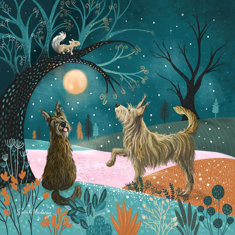 berger picard dog illustration greeting card